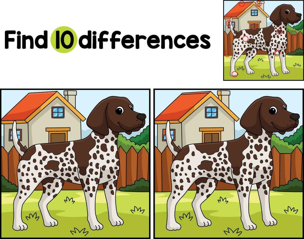 German Shorthaired Pointer Find The Differences vector