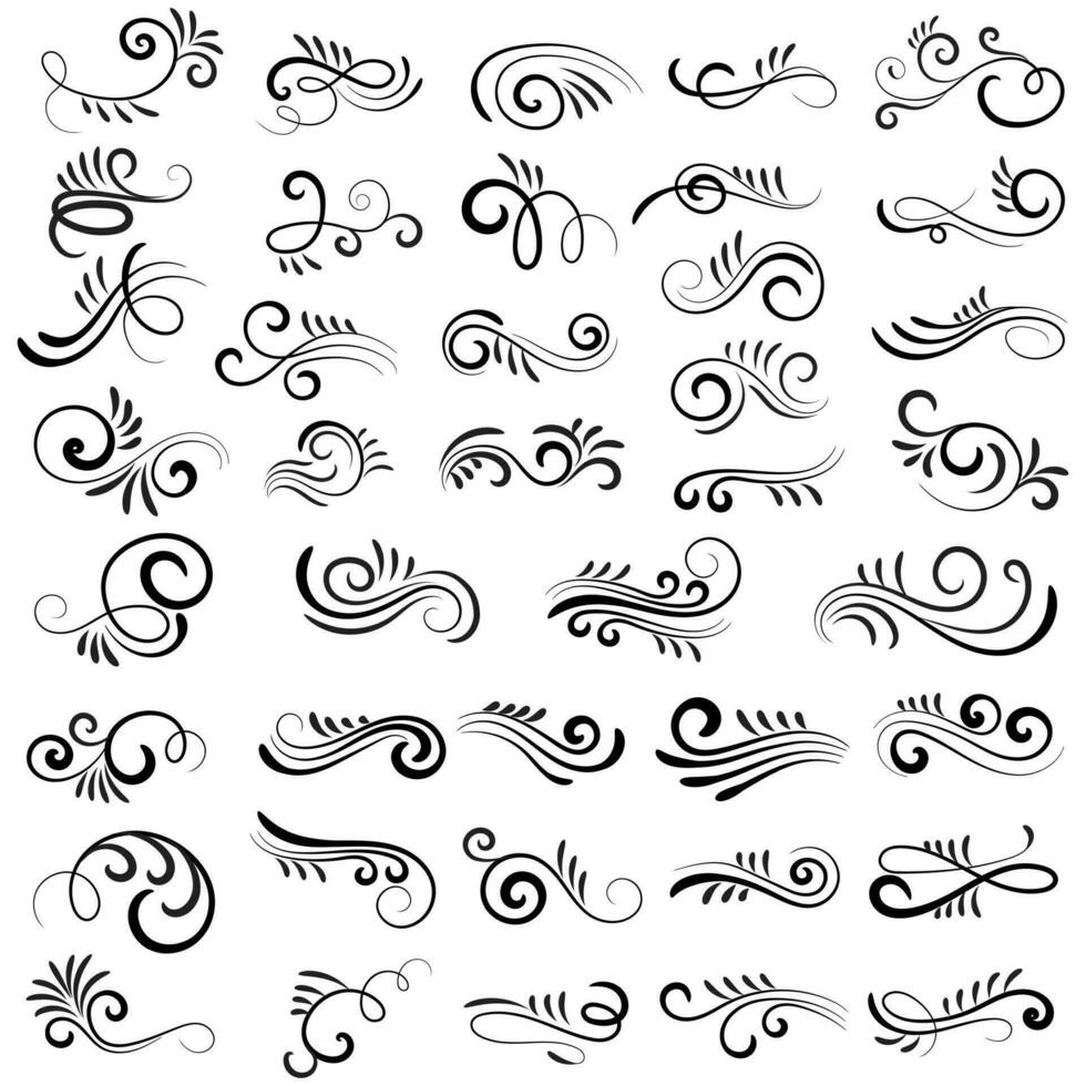 Vector graphic elements for design vector elements. Swirl elements decorative illustration. Classic calligraphy swirls, greeting cards, wedding invitations, royal certificates and graphic design.