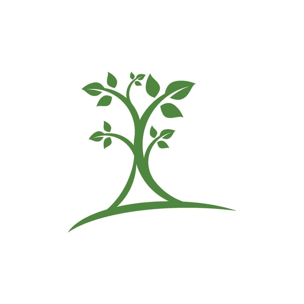 Logos of green Tree leaf ecology vector