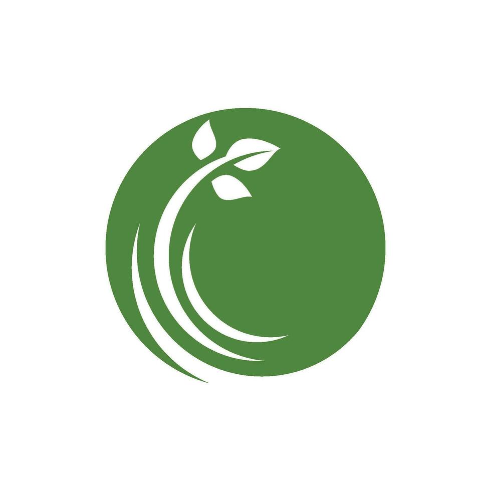 logotipos de la ecología de la hoja del árbol verde vector