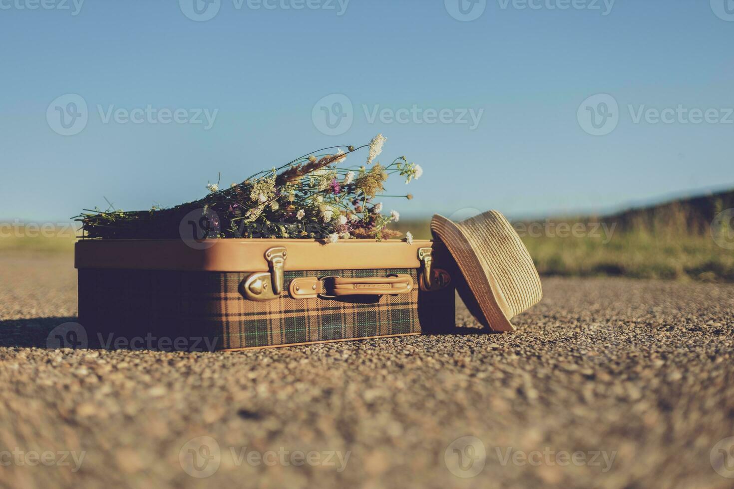 Image of  old suitcase with  flowers on the country road photo