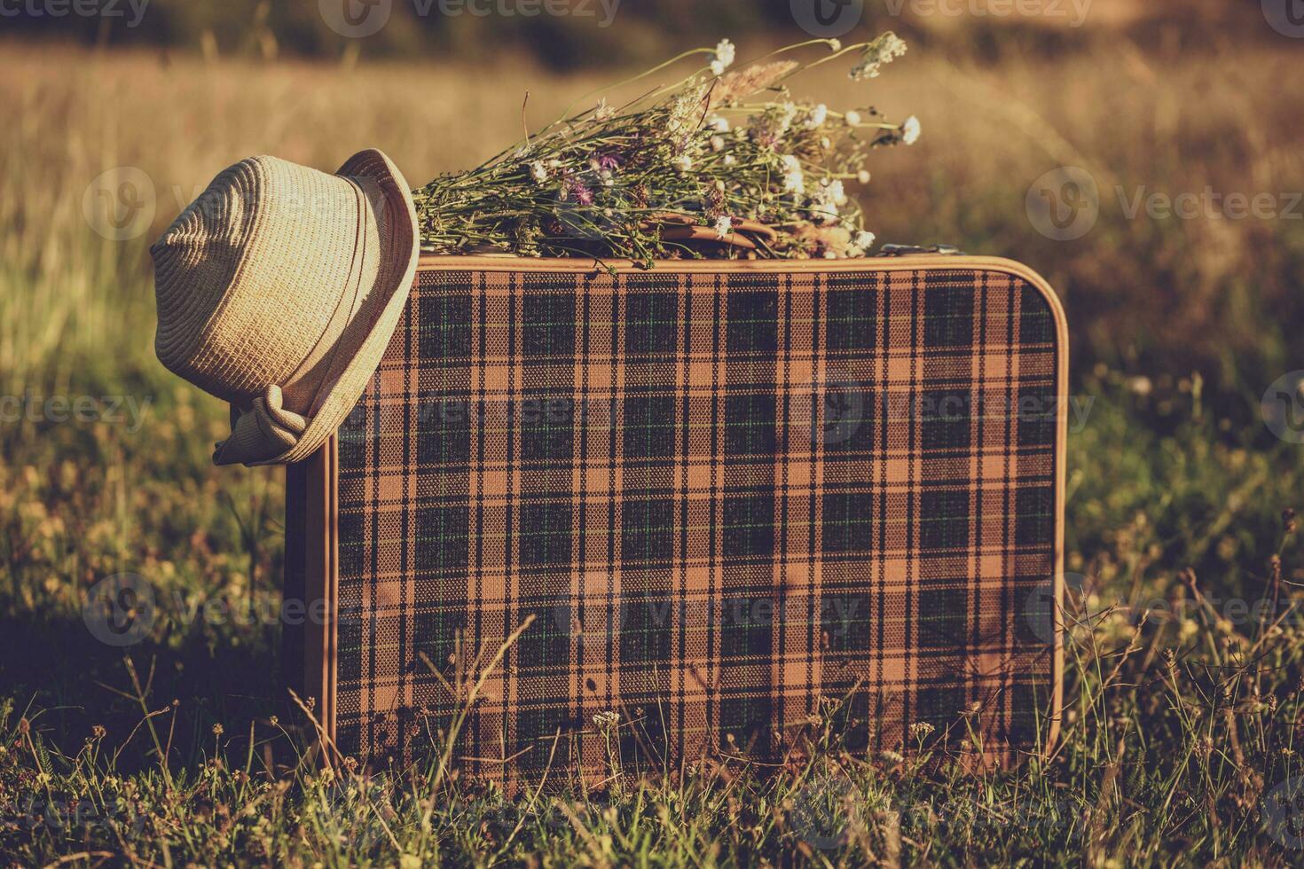 imagen de antiguo maleta, sombrero y flores en el césped. foto