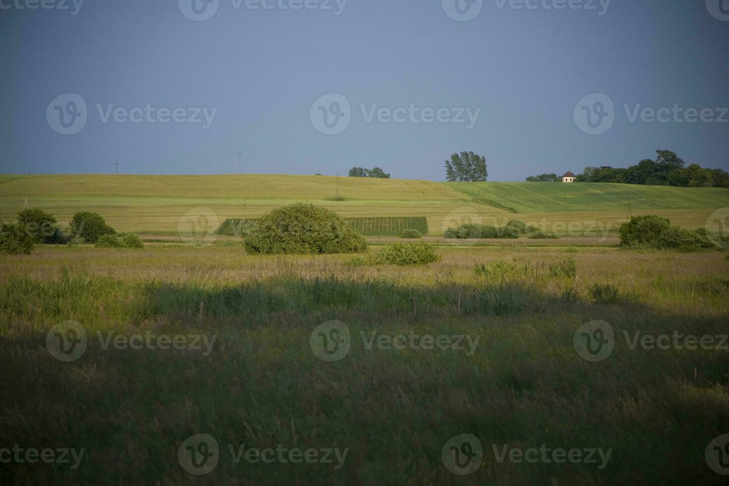 verano paisaje Polonia foto