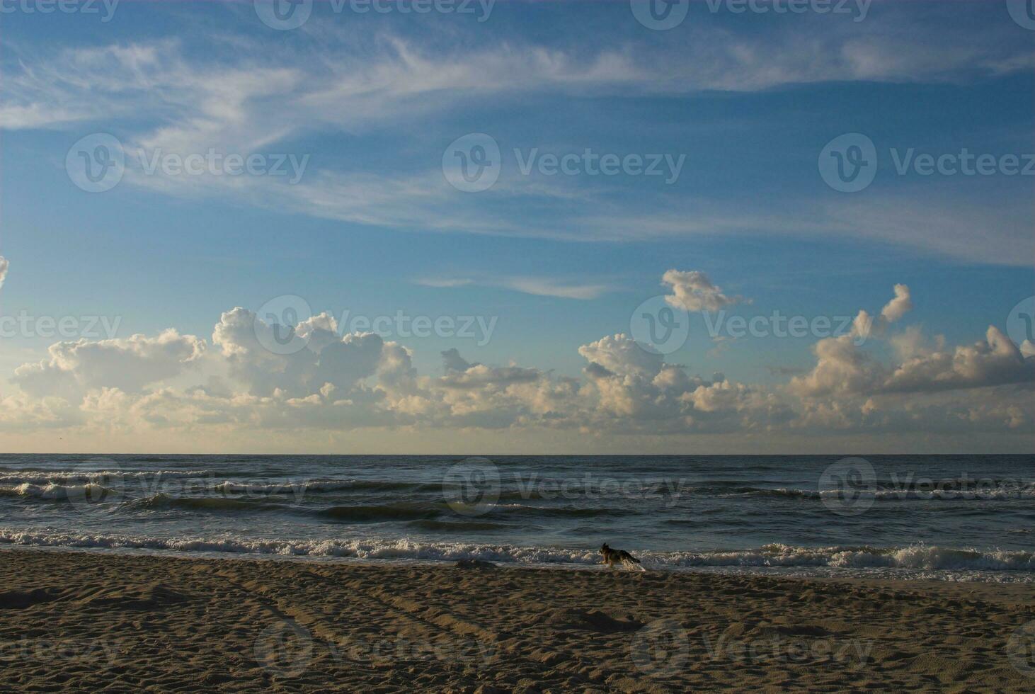 Baltich Sea landscape photo