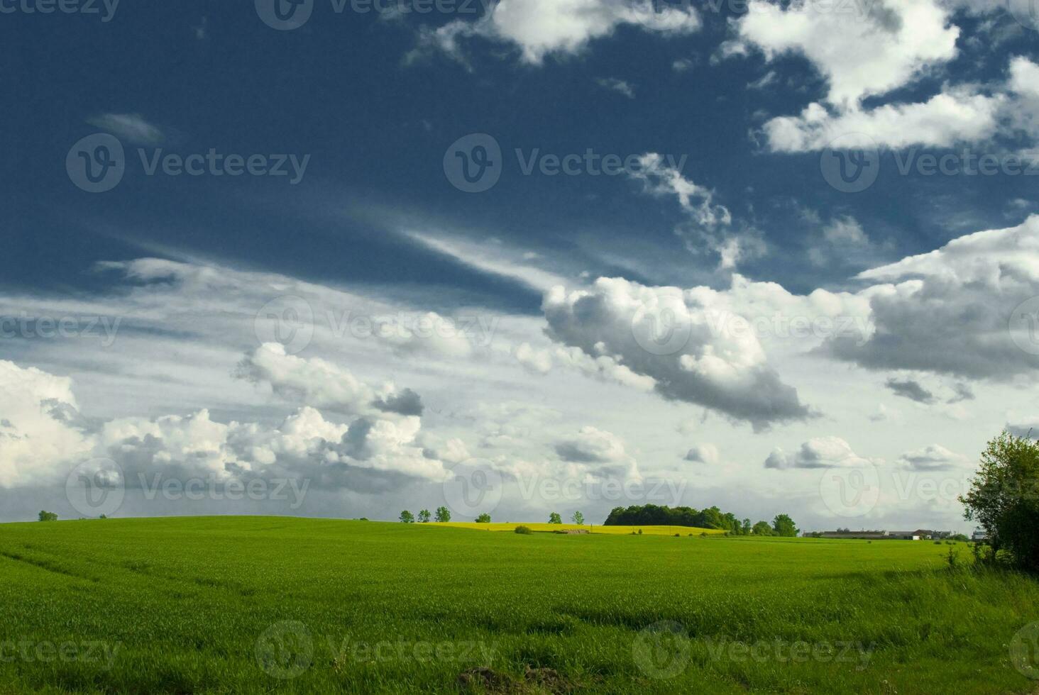 sky landscape  summer photo