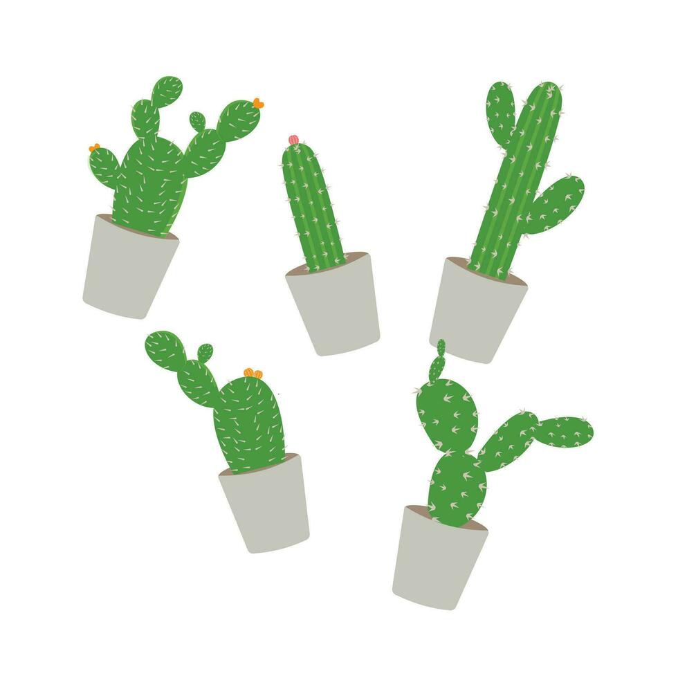 Cactus icons in a flat style on a white background. Home plants cactus in pots and with flowers. A variety of decorative cactus with prickles and without. vector