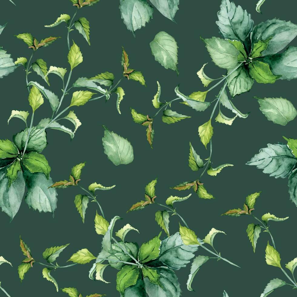 Nettle stem herbal plant watercolor seamless pattern isolated on dark background. Urtica dioica, green leaves, useful herb hand drawn. Design for textile, package, wrapping, fabric, wallpaper vector