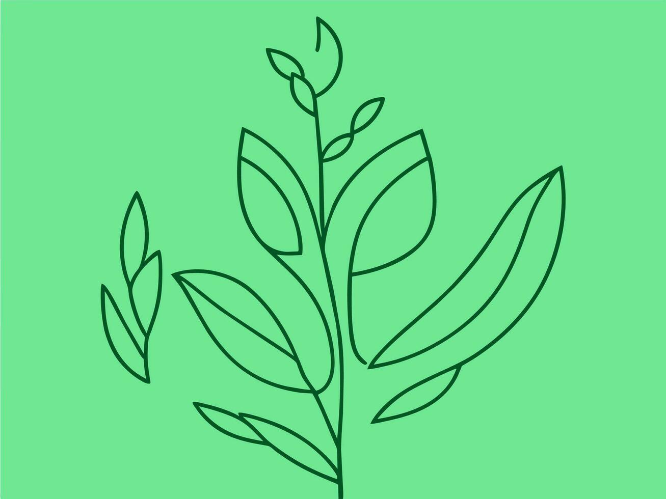 a line drawing of leaves on a green background vector