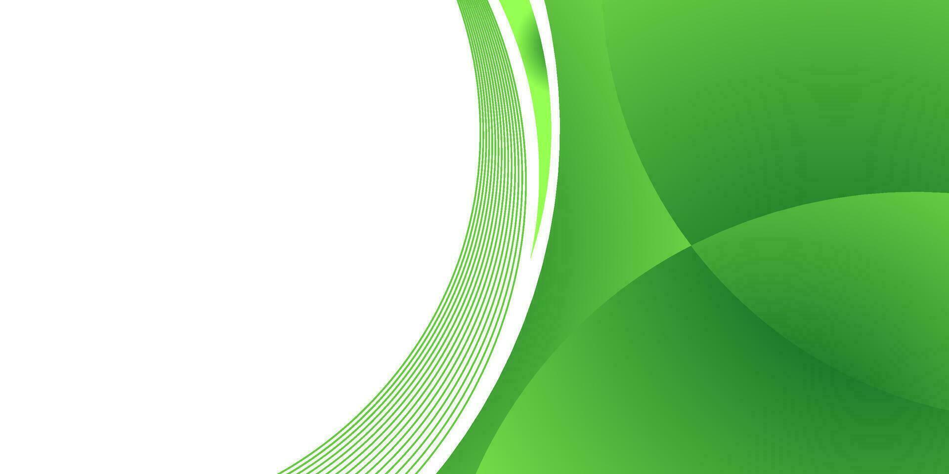 green curve elegant background for business vector