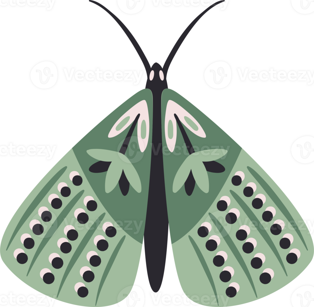 ornamental borboleta. ilustração png