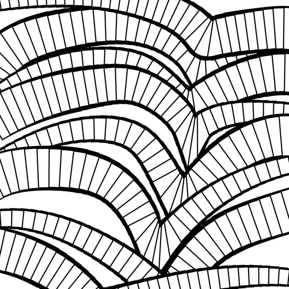 vector resumen antecedentes de líneas en negro y blanco colores