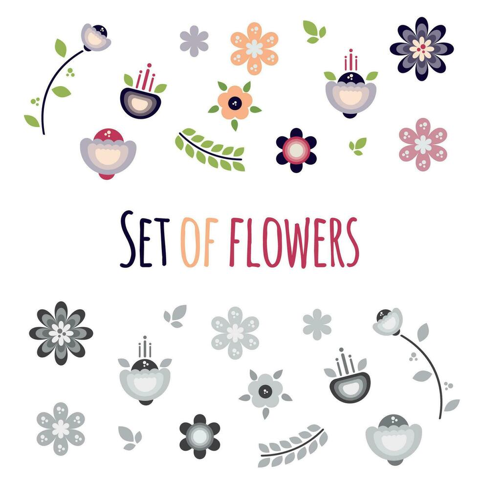 Set of vector flowers on the white background