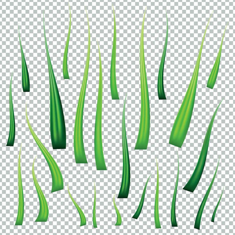 Spring vector illustration with green grass