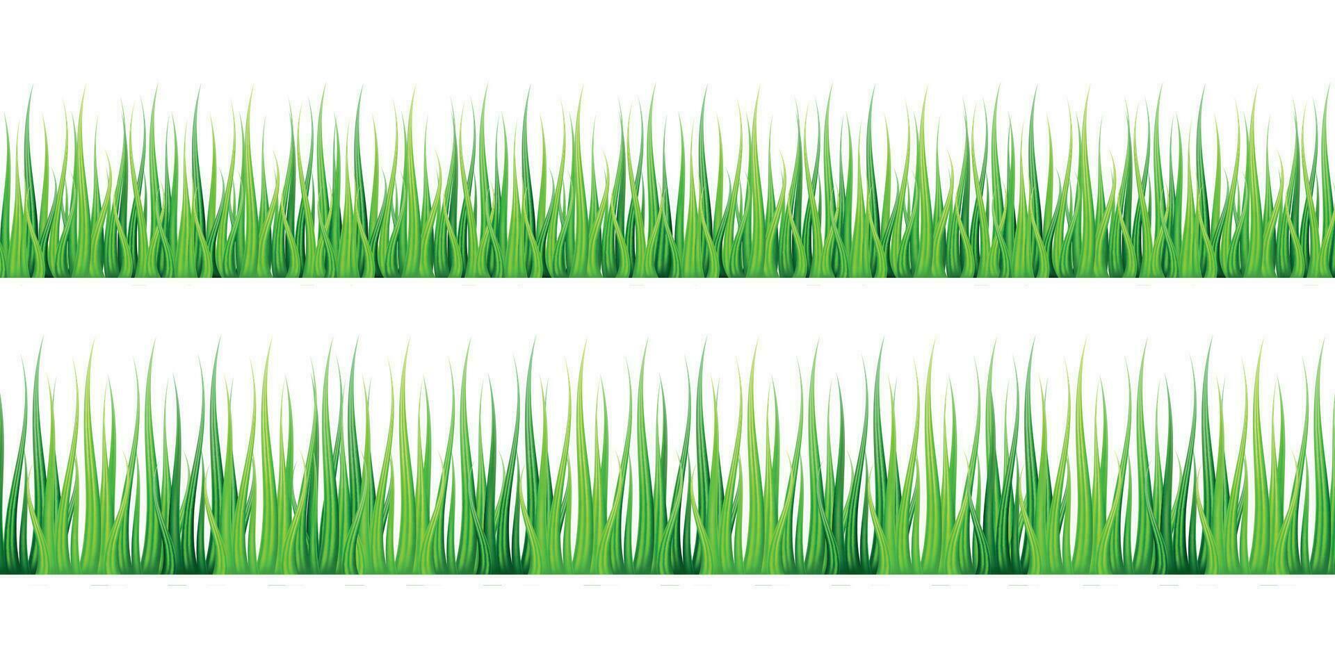 Spring vector illustration with green grass