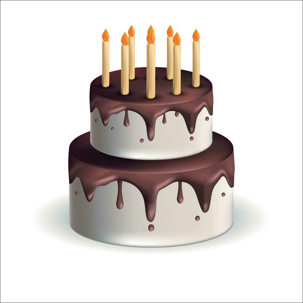 Birthday cake with candles on the white background vector