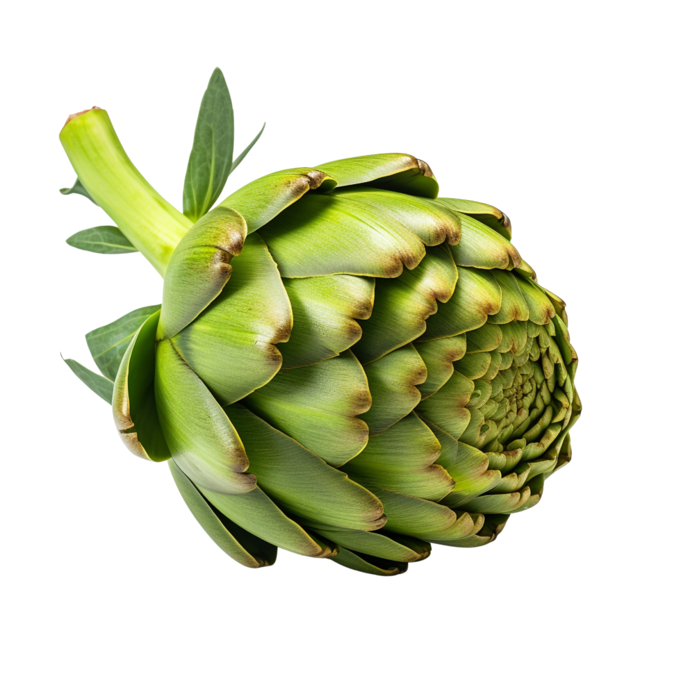 AI generated Artichoke clip art png