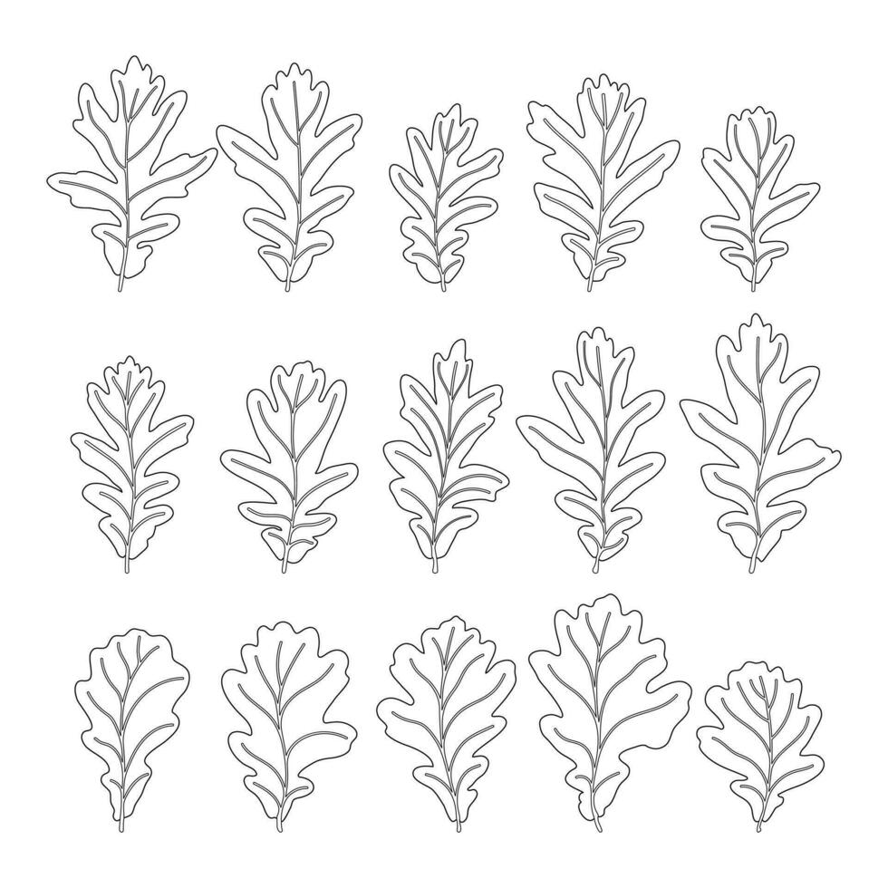 Set of vector silhouettes of a realistic shape of oak leaves