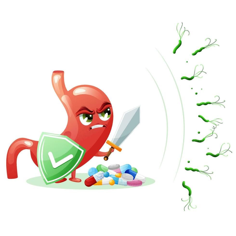 Cartoon stomach character with pills, shield and sword fighting against helicobacter pylori bacteria vector