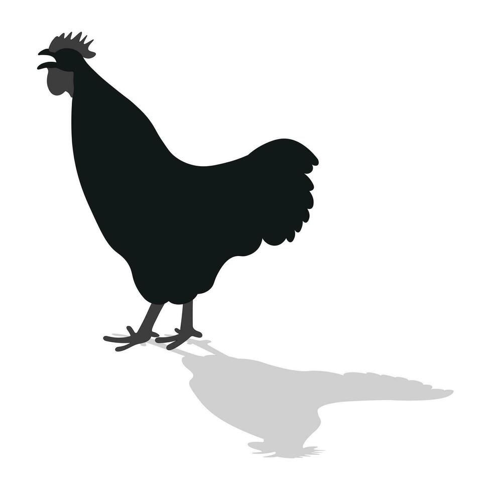 gallo joven, gallo, pollo, gallina, polluelo, posición de pie, aves de corral silueta mano dibujado vector
