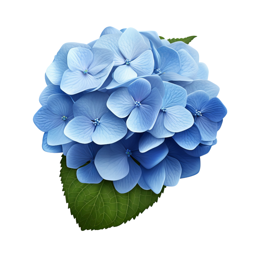 AI generated Blue hydrangea clip art png