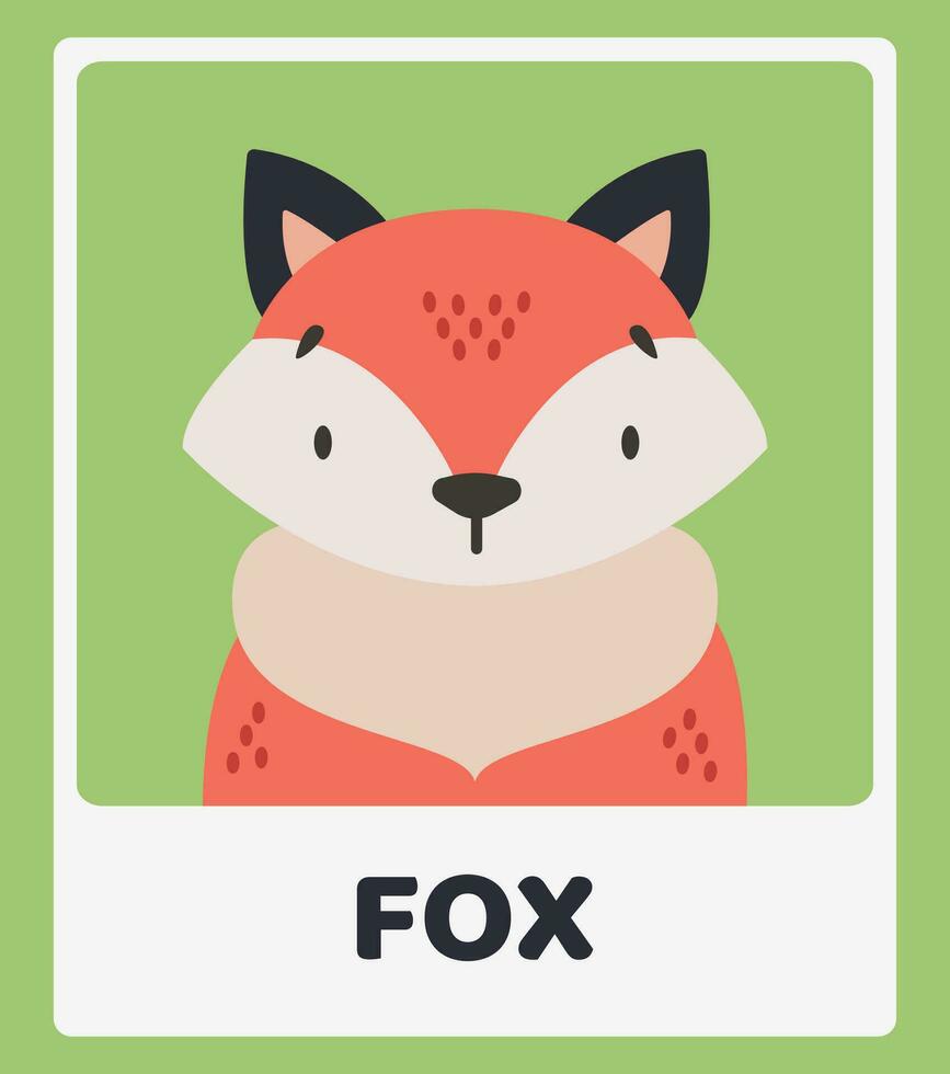 Cute red fox. Animal portraits. Educational cards for children. Simple vector illustrations.