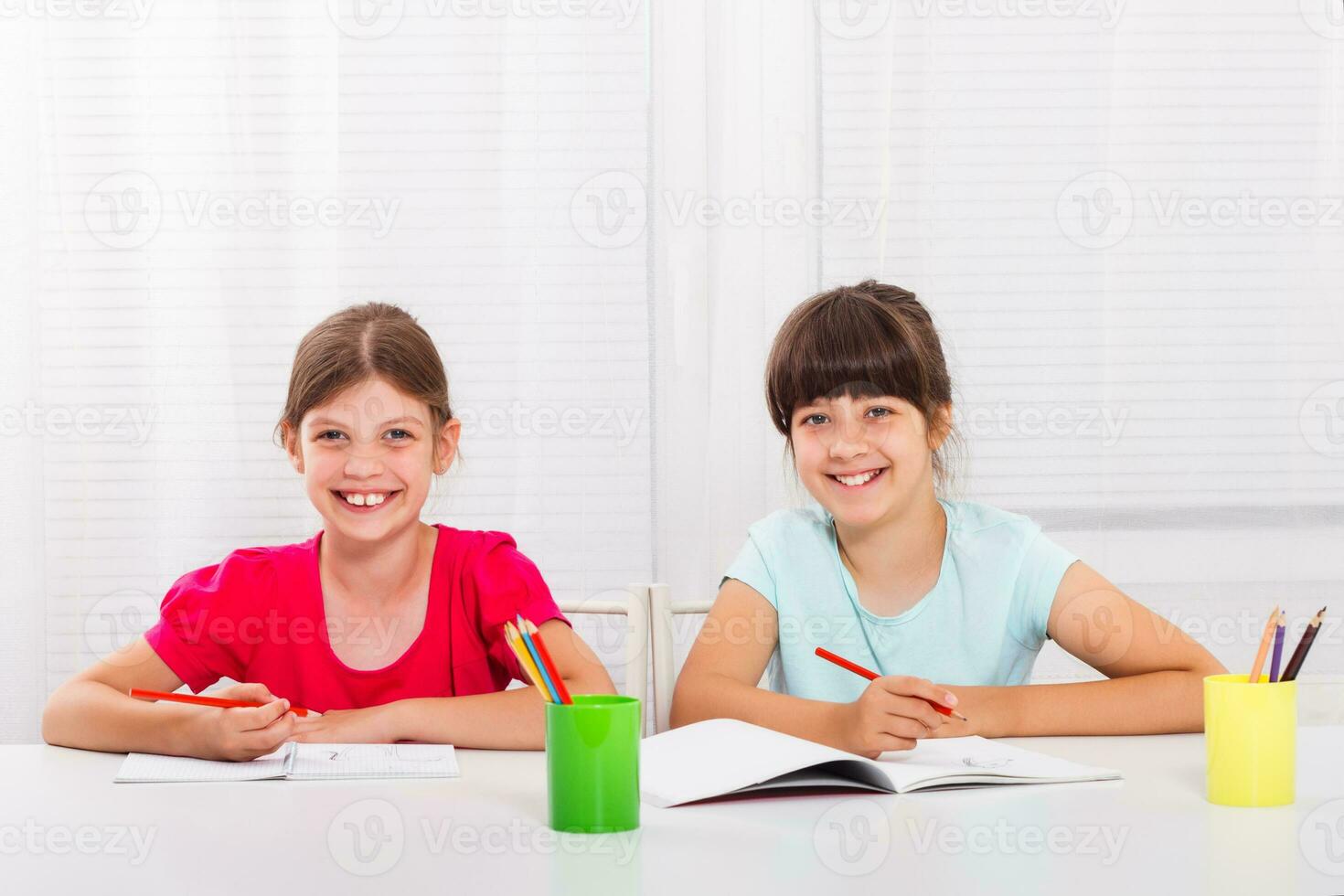 Cute little girls doing homework together photo
