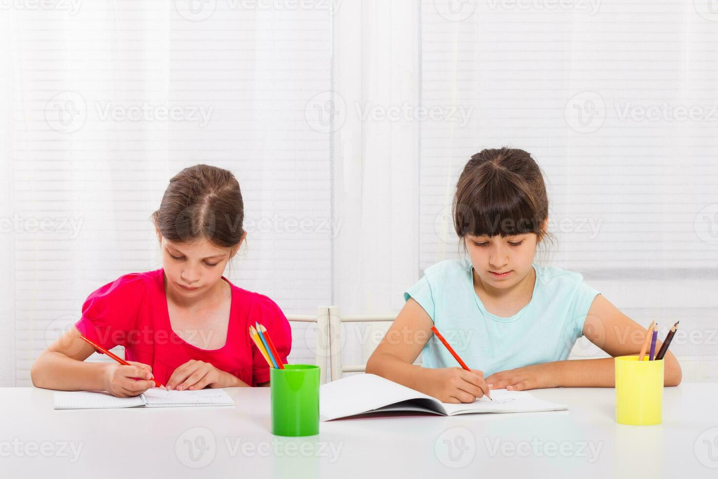 Cute little girls doing homework together. photo