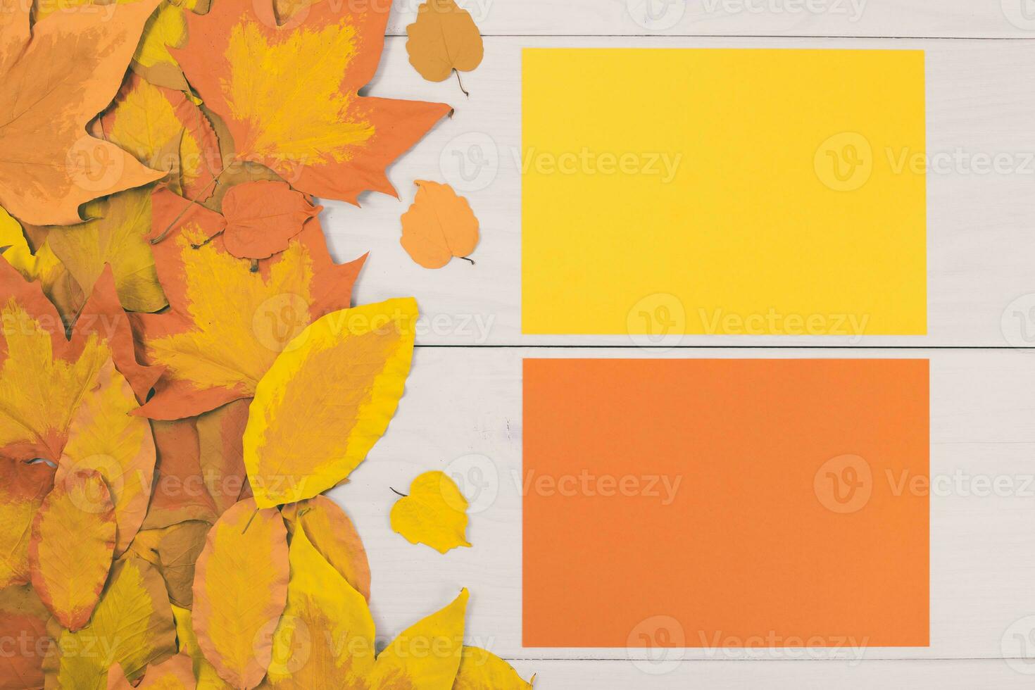 Autumn leaves and yellow and orange papers on a white wooden table photo