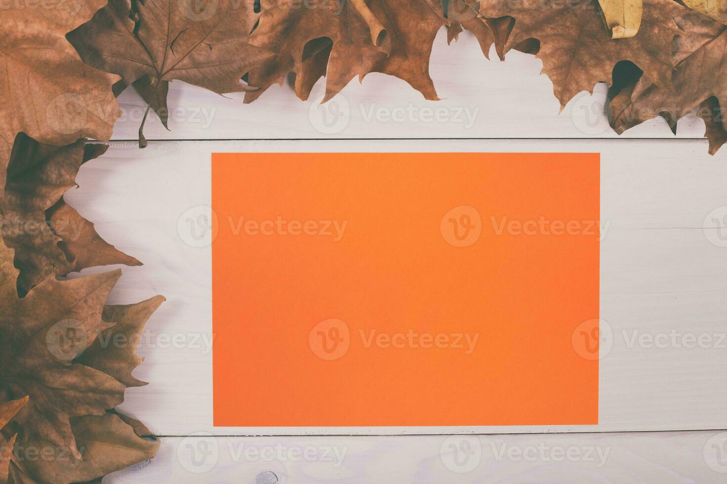 Autumn leaves and orange paper on white wooden background photo