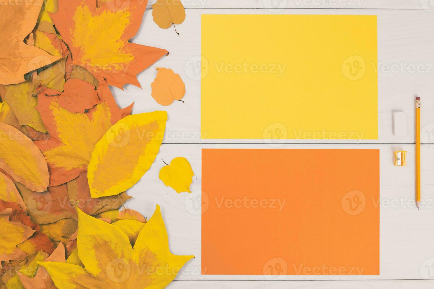 two blank papers with autumn leaves on a wooden table photo