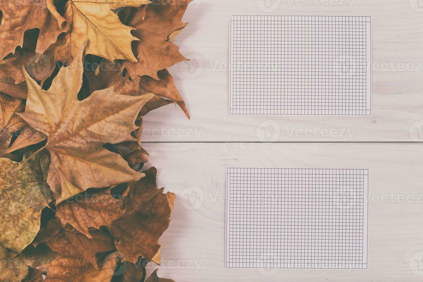 Two papers with leaves on a wooden table photo