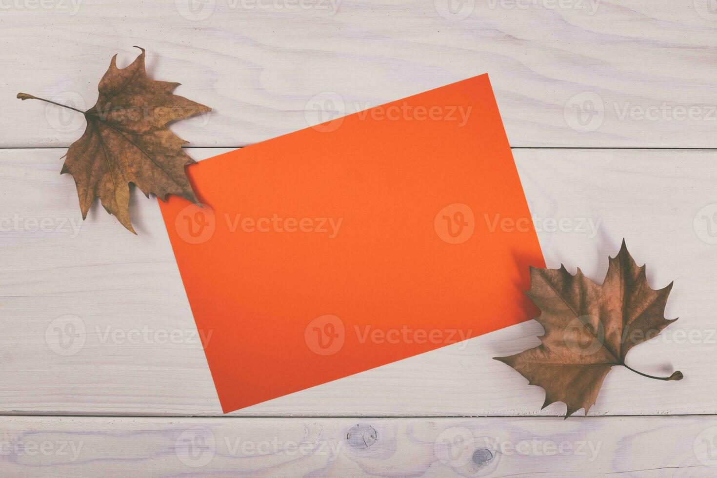 Autumn leaves and orange paper on wooden table photo