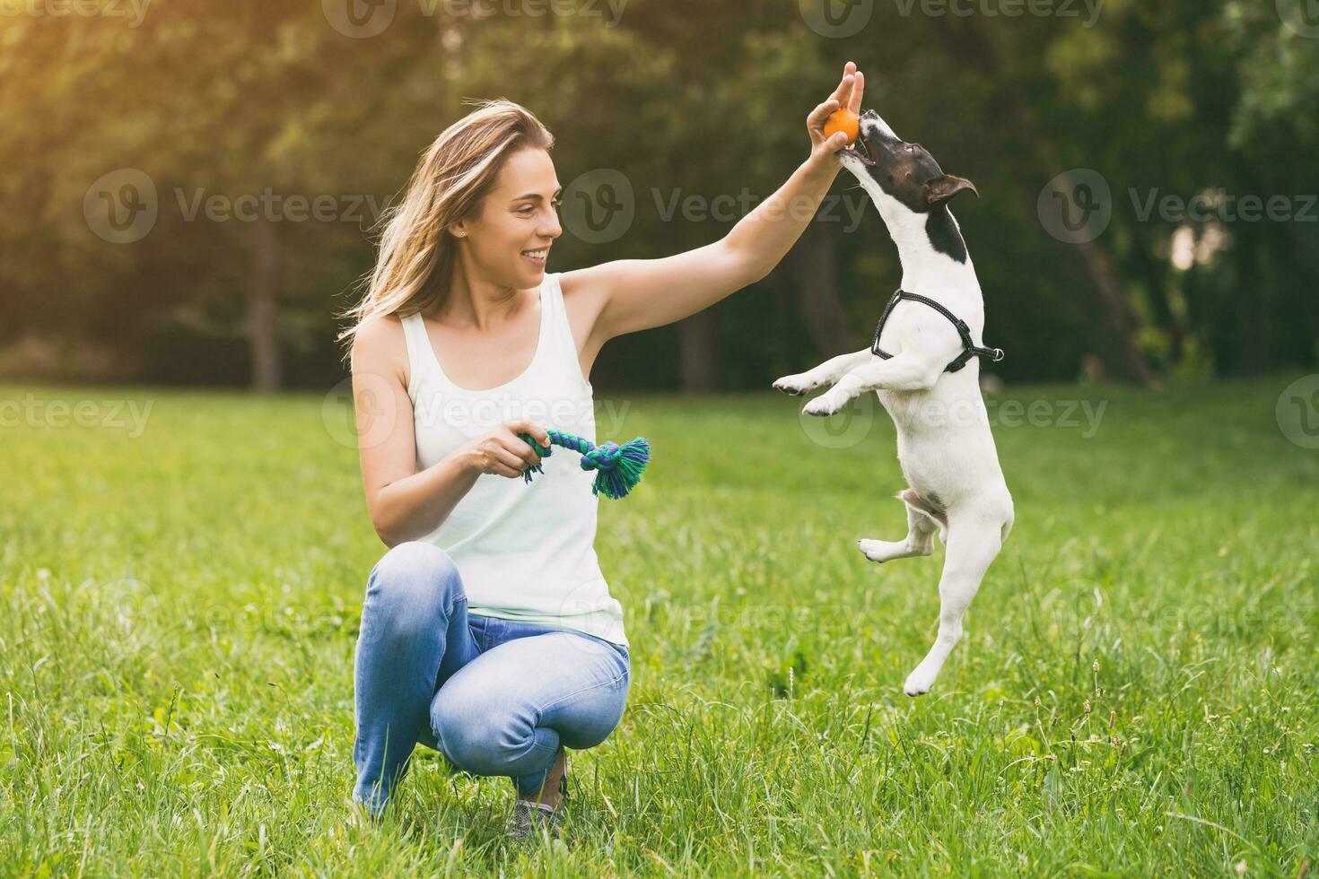 Beautiful woman enjoys playing with her cute dog Jack Russell Terrier in the nature. photo