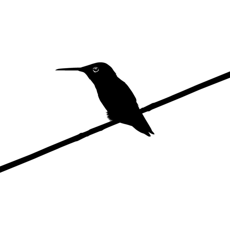 Perched Hummingbird Silhouette, can use Art Illustration, Website, Logo Gram, Pictogram or Graphic Design Element. Vector Illustration