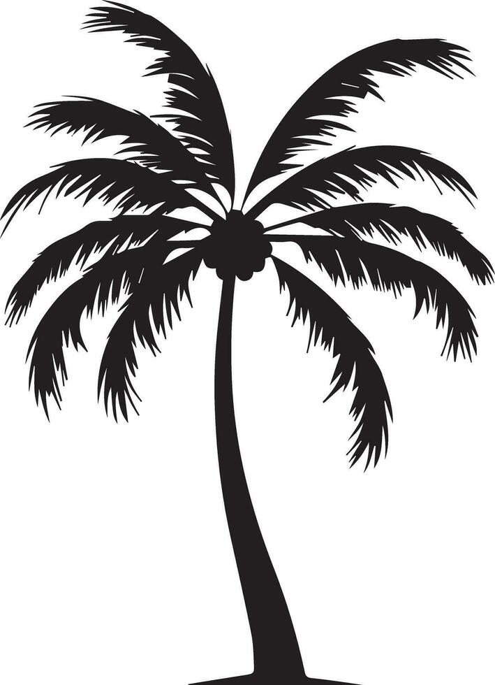 Coconut tree vector silhouette illustration 11