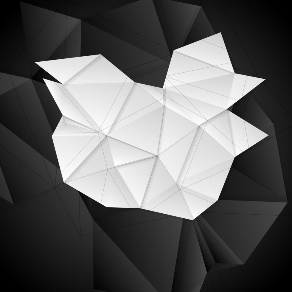 Black and white 3d polygonal shapes photo