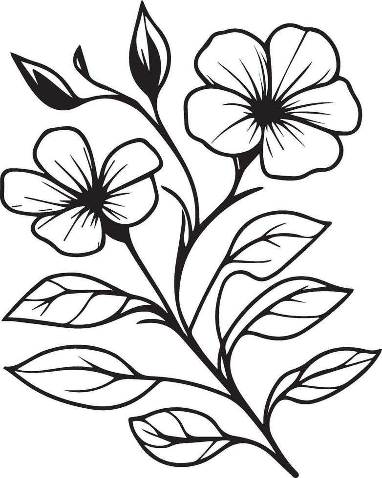 Realistic Catharanthus flower coloring pages, madagascar periwinkle drawing, periwinkle drawing, flower cluster drawing, Cute flower coloring pages, illustration vector art