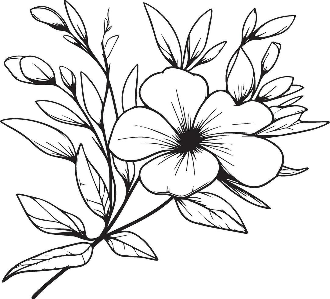 Vector sketch of flowers. periwinkle line drawings, hand-painted madagascar periwinkle wall art, botanical vinca wall art, simple periwinkle drawing, noyontara stock outline drawing, periwinkle flower