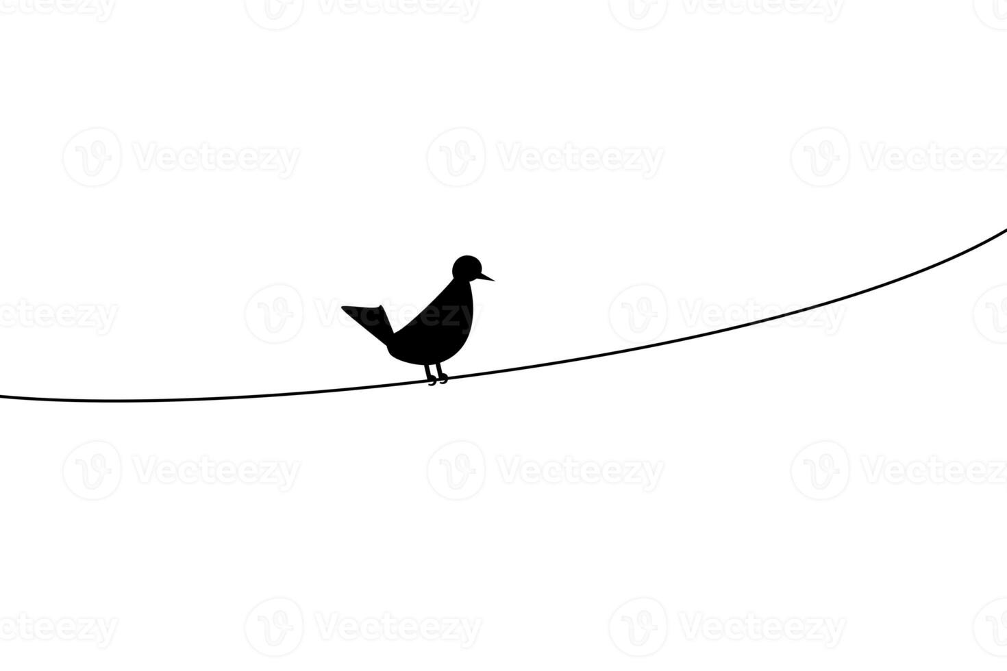 illustration of silhouette bird perching on wire no people. black and white abstract white background background desing element banner backdrop website. photo