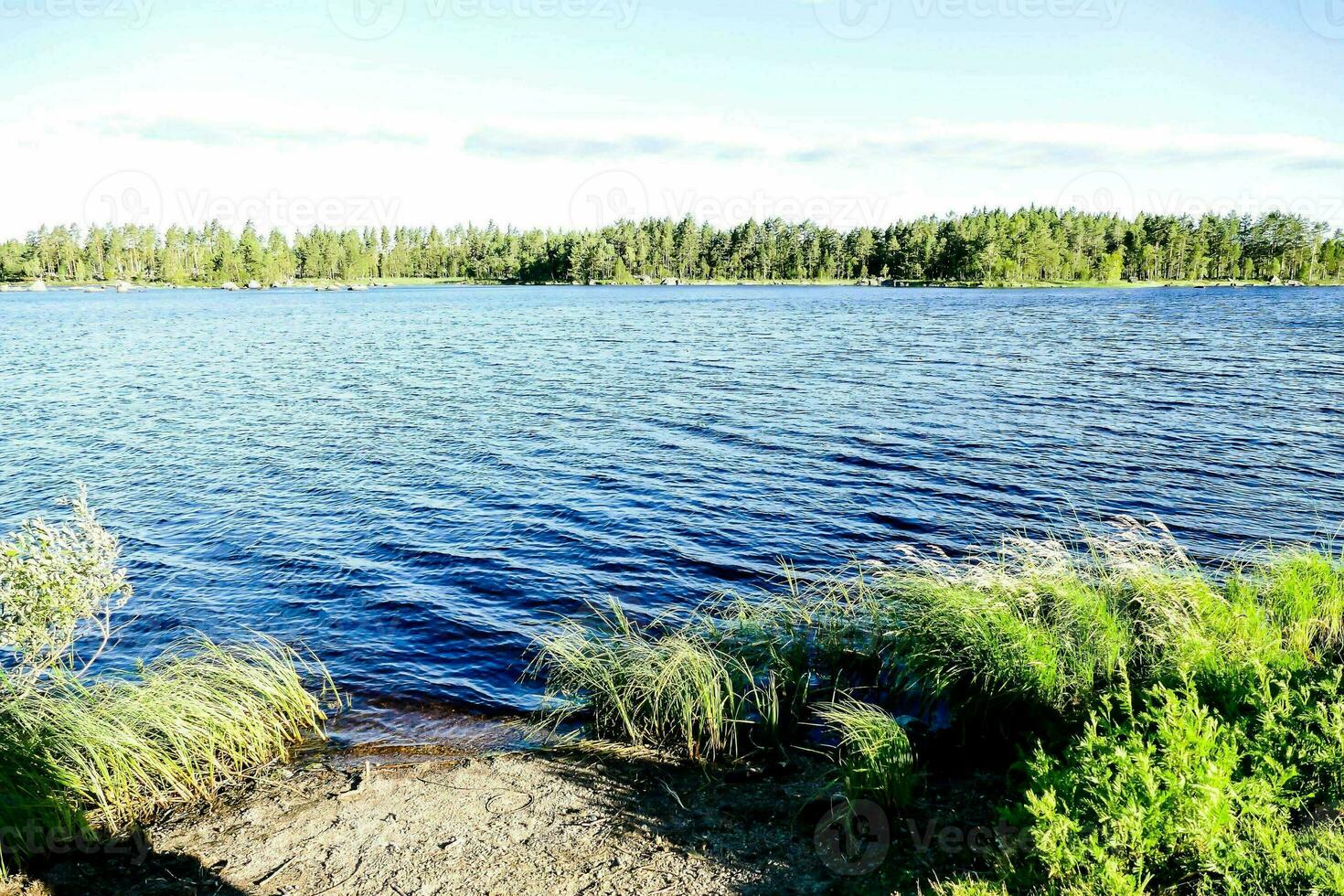 un lago rodeado por arboles y césped foto