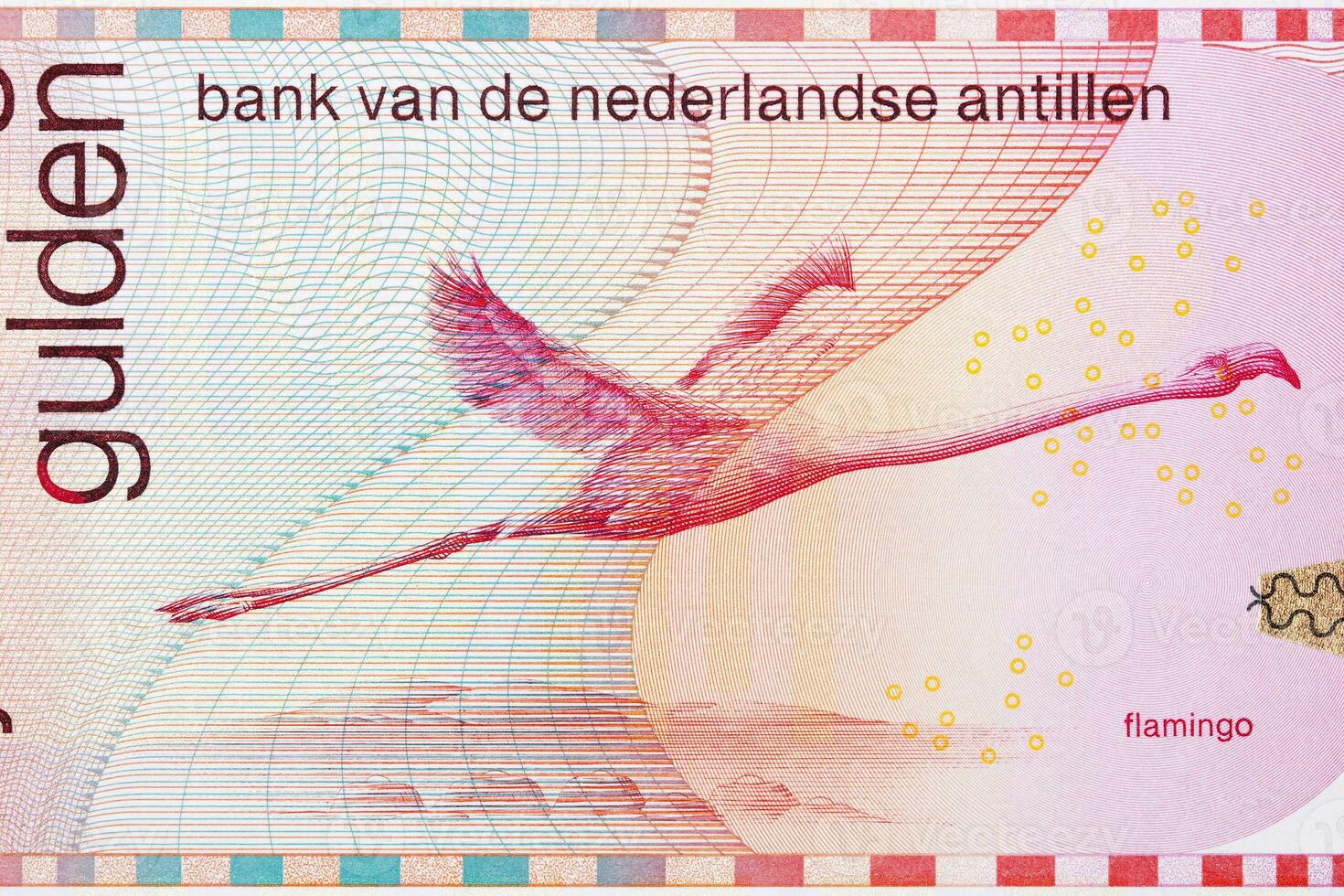 Flamingo from Netherlands Antillean money photo