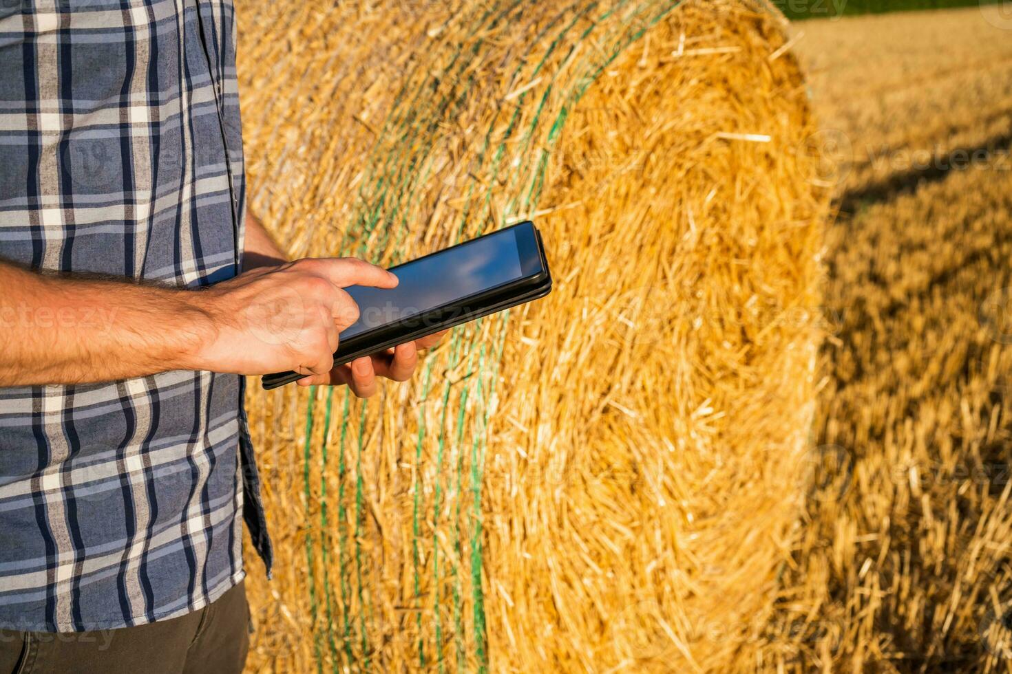 Farmer using digital tablet and examining straw after successful harvesting photo