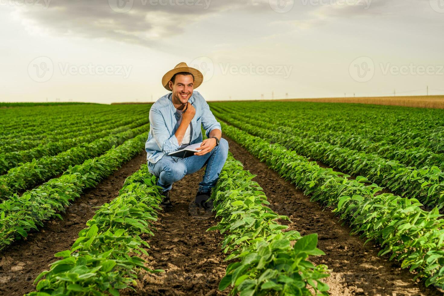 Happy farmer spending time in his growing soybean field photo