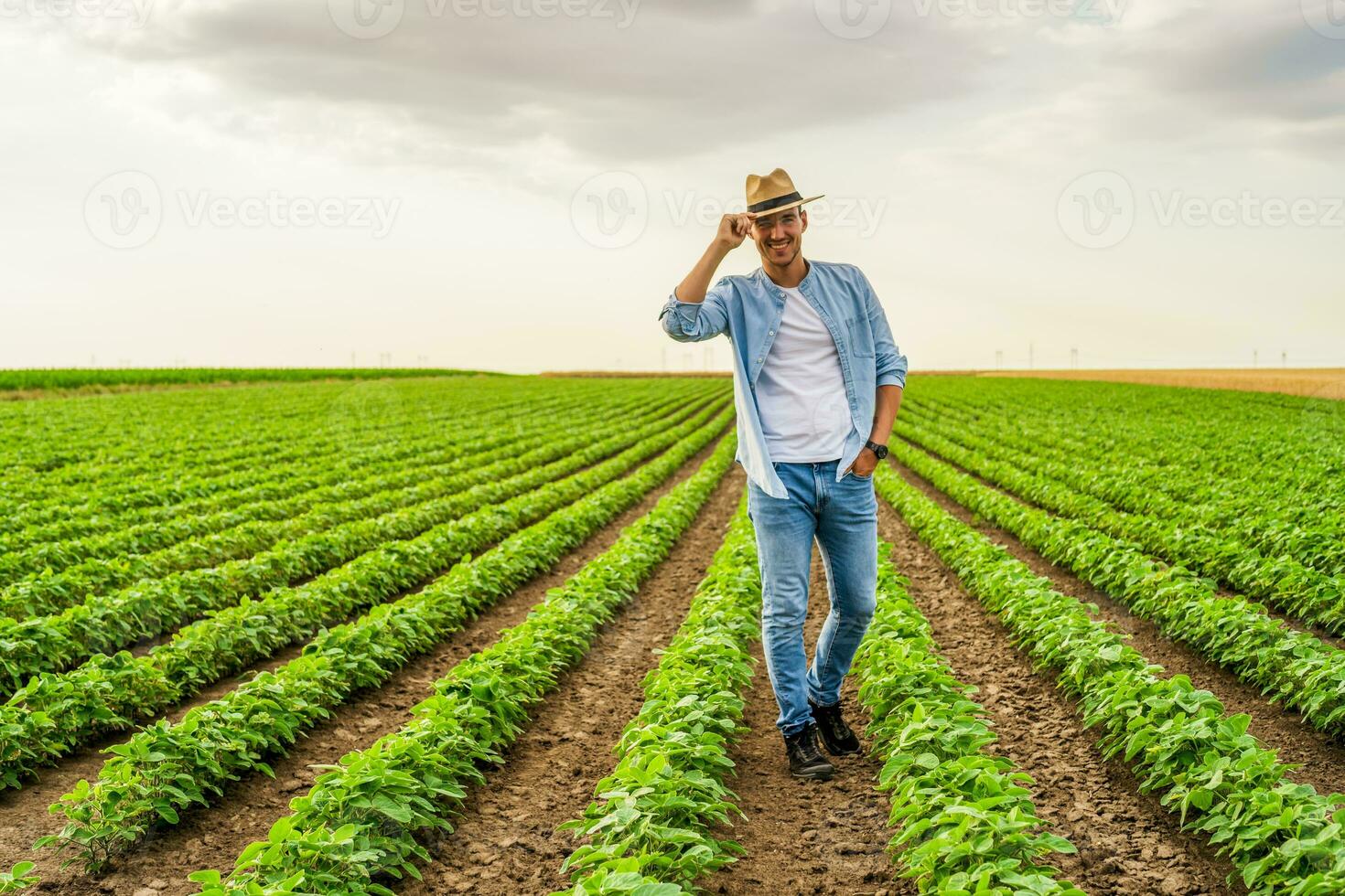 Happy farmer is standing in his growing  soybean field photo