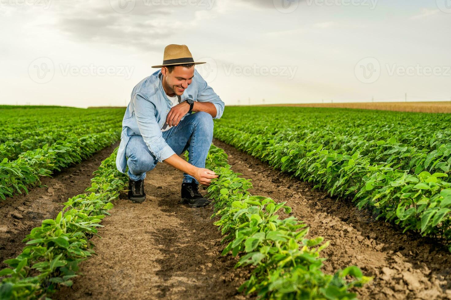 Happy farmer spending time in his growing soybean field photo