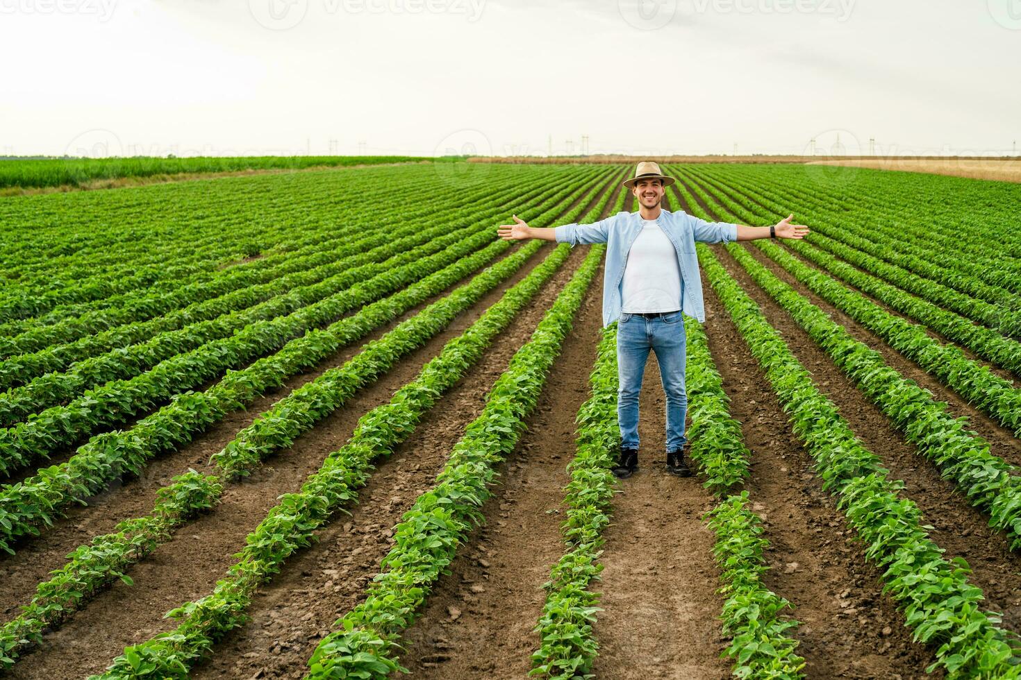 contento granjero con brazos extendido en pie en su creciente haba de soja campo foto