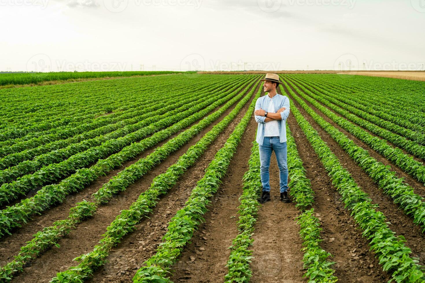 Farmer is standing in his growing soybean field photo