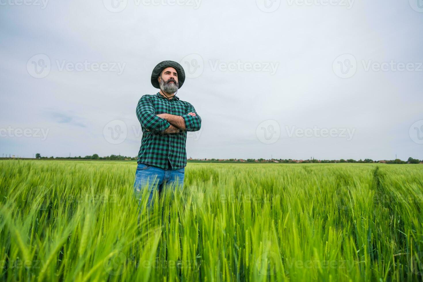 Farmer is standing in his growing wheat field photo