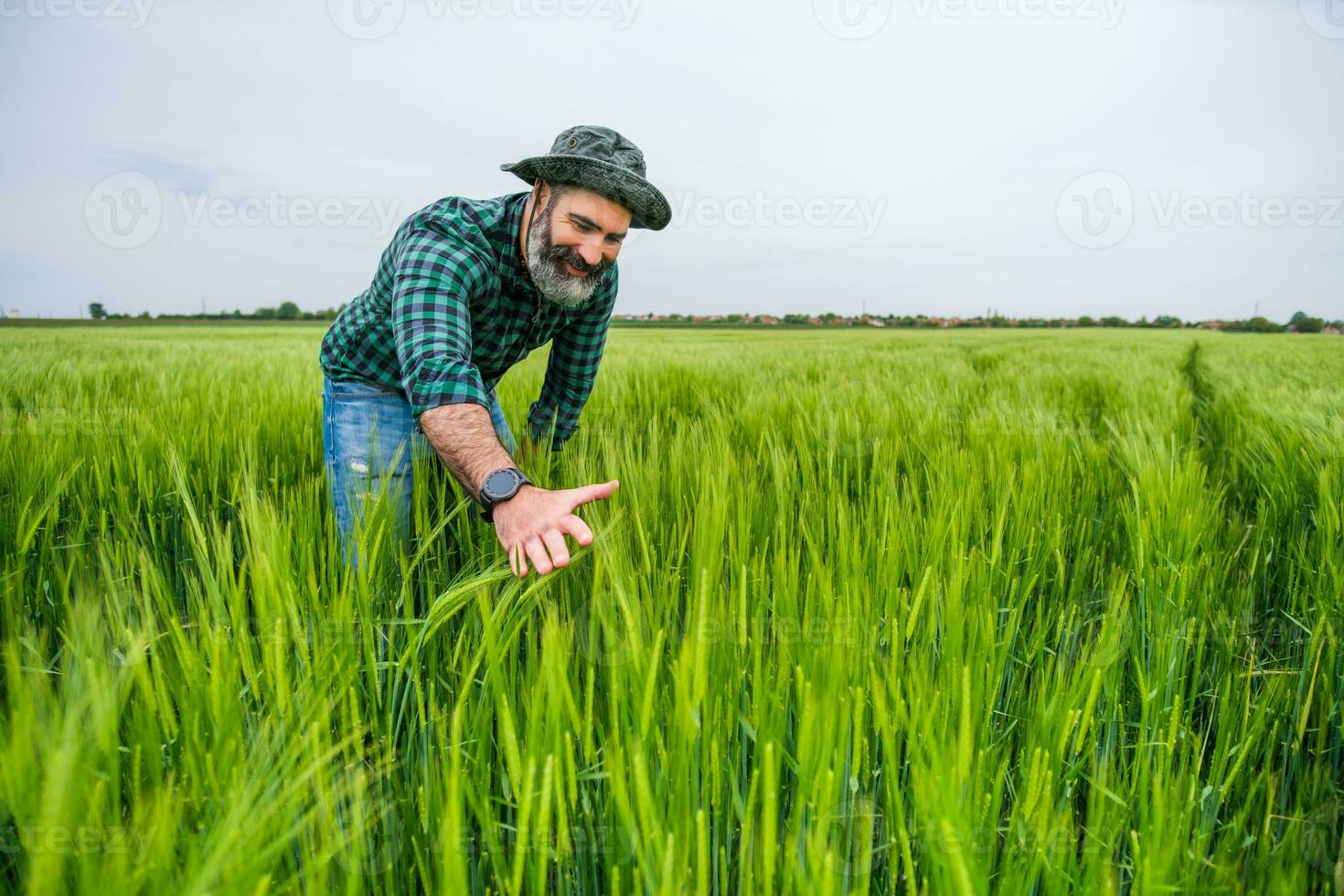 Happy farmer is standing in his growing wheat field. photo