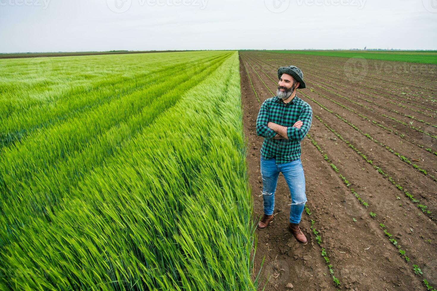 Happy farmer is standing beside  his growing wheat field photo